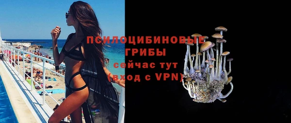 дурь Пересвет