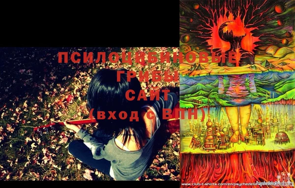 mdma Пестово