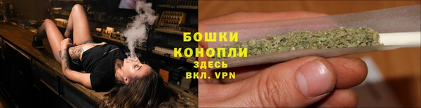 дурь Пересвет
