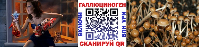 Галлюциногенные грибы прущие грибы  Соликамск 