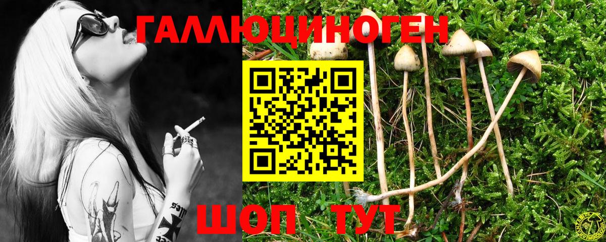 Псилоцибиновые грибы мухоморы  Псилоцибиновые грибы Cubensis  Вход с VPN  Соликамск 